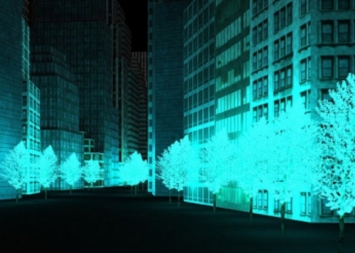Va-t-on remplacer un jour nos lampadaires par des arbres phosphorescents ?